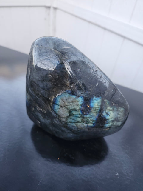 High shine Labrodite free form