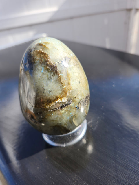 Labrodite egg carving