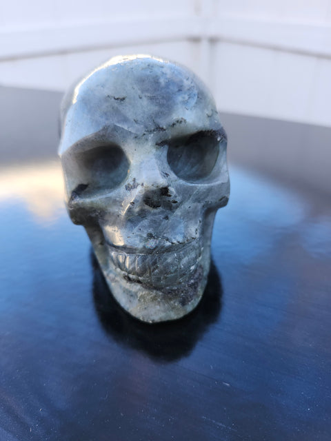 Labrodite skull