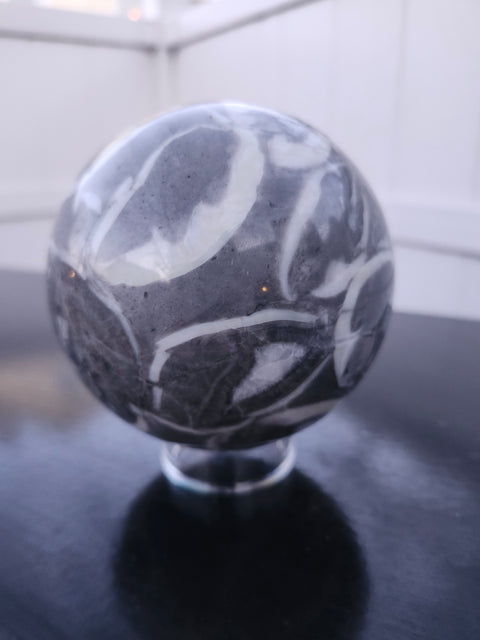 Shell jasper sphere