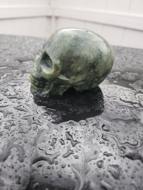 Serpentine skull